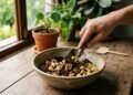 Misturar cascas de banana e café moído: para que serve e por que é recomendado