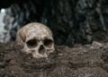 Arqueólogos voltaram a um abrigo escavado há quase 100 anos e encontraram a história de uma criança enterrada há 4 mil anos