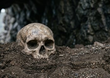 Arqueólogos voltaram a um abrigo escavado há quase 100 anos e encontraram a história de uma criança enterrada há 4 mil anos