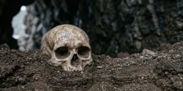 Arqueólogos voltaram a um abrigo escavado há quase 100 anos e encontraram a história de uma criança enterrada há 4 mil anos