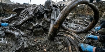 Ossos de mamute descobertos na Baviera revelam como humanos aproveitaram grandes animais durante a Era do Gelo