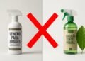 Nem veneno, nem solução industrializada: esse é o ingrediente perfeito para proteger vasos e hortas contra pragas