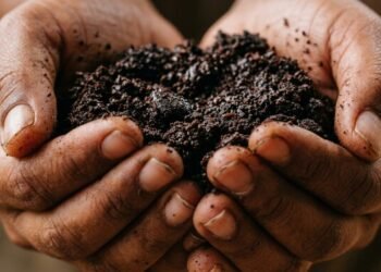 Pare de descartar a borra de café: você pode estar jogando um verdadeiro tesouro no lixo