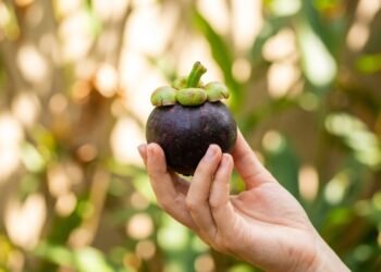 Os 5 grupos de pessoas que não podem consumir a rainha das frutas