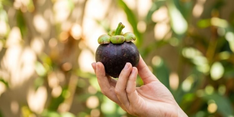 Os 5 grupos de pessoas que não podem consumir a rainha das frutas