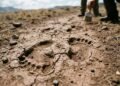 Pesquisadores encontraram as pegadas humanas mais antigas já identificadas, escondidas em sedimentos fossilizados de praia