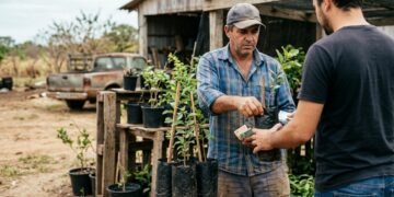 Produtor rural é preso e recebe multa de mais de R$ 1,8 milhão após plantar e vender fruta sem autorização