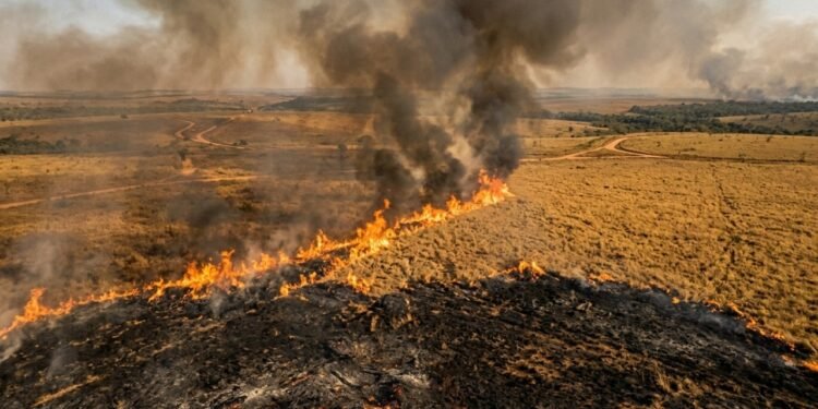 Produtor rural é multado em R$ 705 mil por queimada que diz nunca ter feito e a Justiça vai decidir se imagem de satélite serve como prova