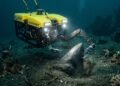 Robô encontra dente de megalodonte em monte submarino jamais explorado e reacende mistério sobre o predador gigante
