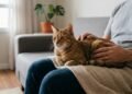 Agnès Dufau, veterinária: “O maior erro é pensar que os gatos são cães pequenos.”