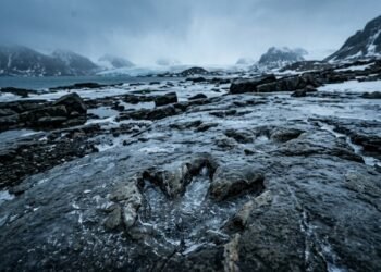 Pesquisadores encontraram 24 pegadas em uma região polar, revelando como os dinossauros dominaram um mundo congelado há 128 milhões de anos
