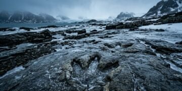 Pesquisadores encontraram 24 pegadas em uma região polar, revelando como os dinossauros dominaram um mundo congelado há 128 milhões de anos