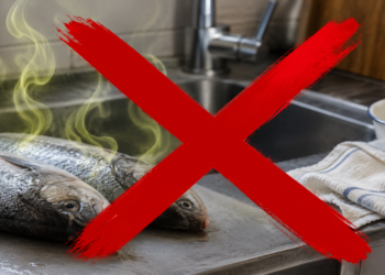 Adeus cheiro de peixe na cozinha: o truque com limão e sal que elimina o odor