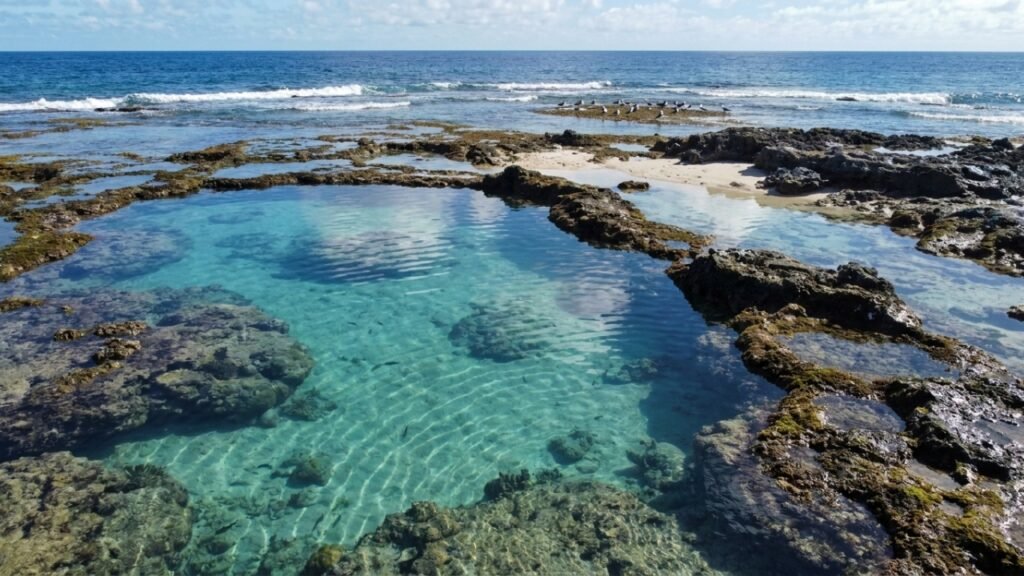 O único atol do Atlântico Sul fica no Brasil e permanece fechado ao turismo comum