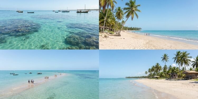 Maragogi, Alagoas - Viajantes deixam praias comuns por um Caribe alagoano onde piscinas naturais, bancos de areia e mar transparente viraram desejo nacional