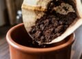 Antes de usar borra de café nas plantas vale saber isto