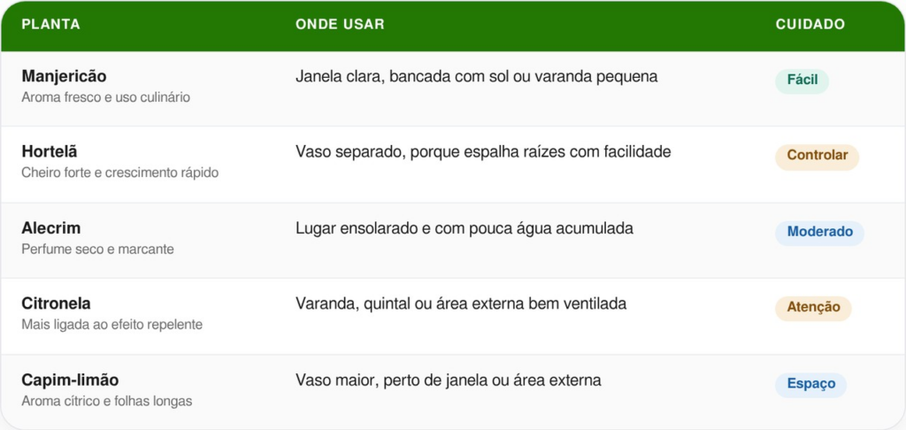 plantas aromáticas