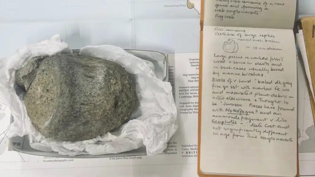 Um fóssil de 40 anos encontrado na Antártida acaba de se revelar o primeiro osso de dinossauro já descoberto no continente