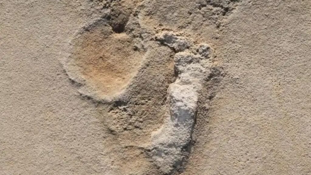 Pesquisadores encontraram as pegadas humanas mais antigas já identificadas, escondidas em sedimentos fossilizados de praia