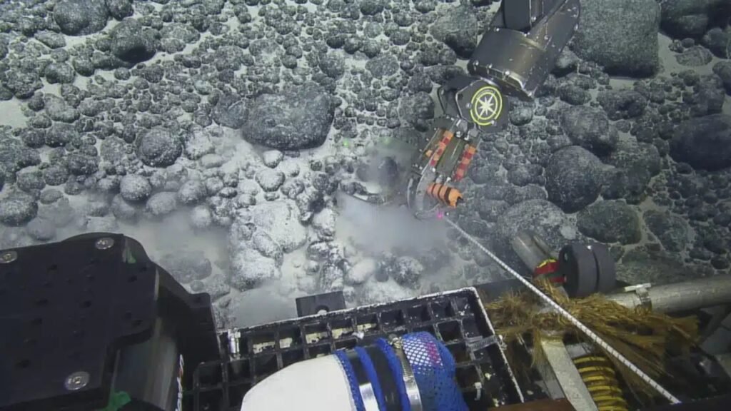 Robô encontra dente de megalodonte em monte submarino jamais explorado e reacende mistério sobre o predador gigante