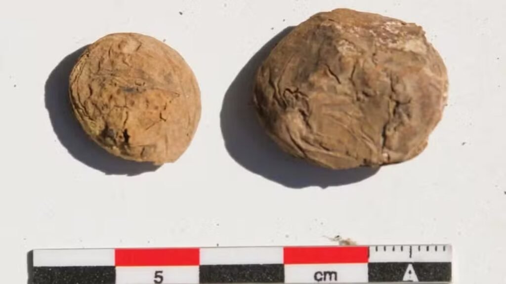 Batatas incas sobreviveram mais de cinco séculos e mostram como um império inteiro vencia a fome sem geladeira