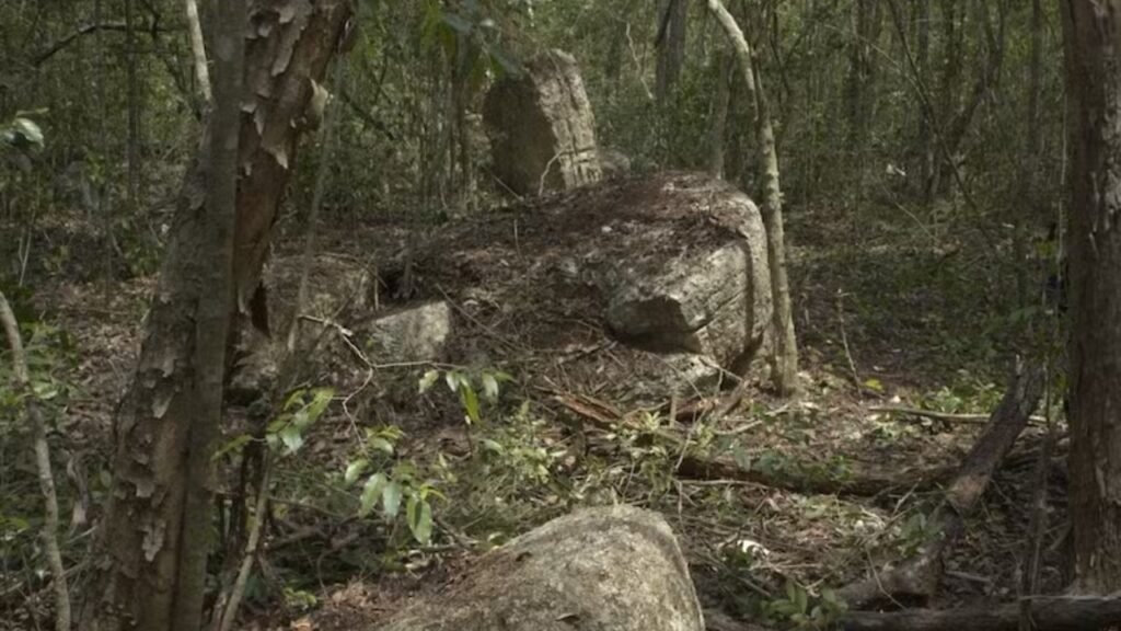 Arqueólogos encontram uma cidade maia inteira perdida no meio da floresta utilizando mapeamento a laser