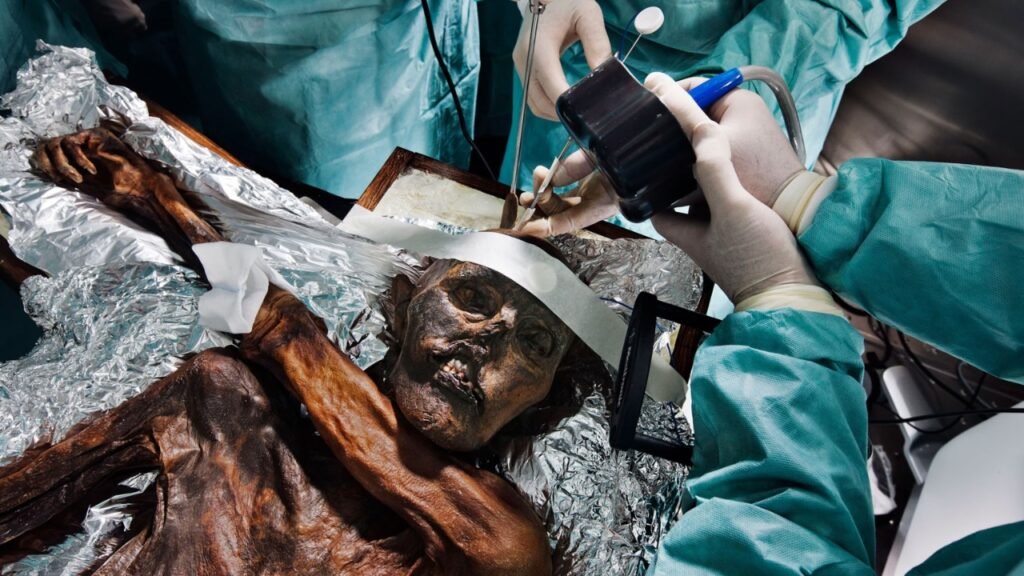 O Homem de Gelo morreu há 5.300 anos, mas plantas minúsculas ainda ajudam a reconstruir suas últimas horas