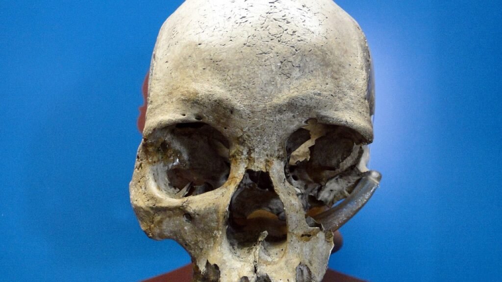 A mulher pré histórica encontrada em Minas Gerais que virou símbolo da ciência brasileira e dos mistérios sobre nossas origens