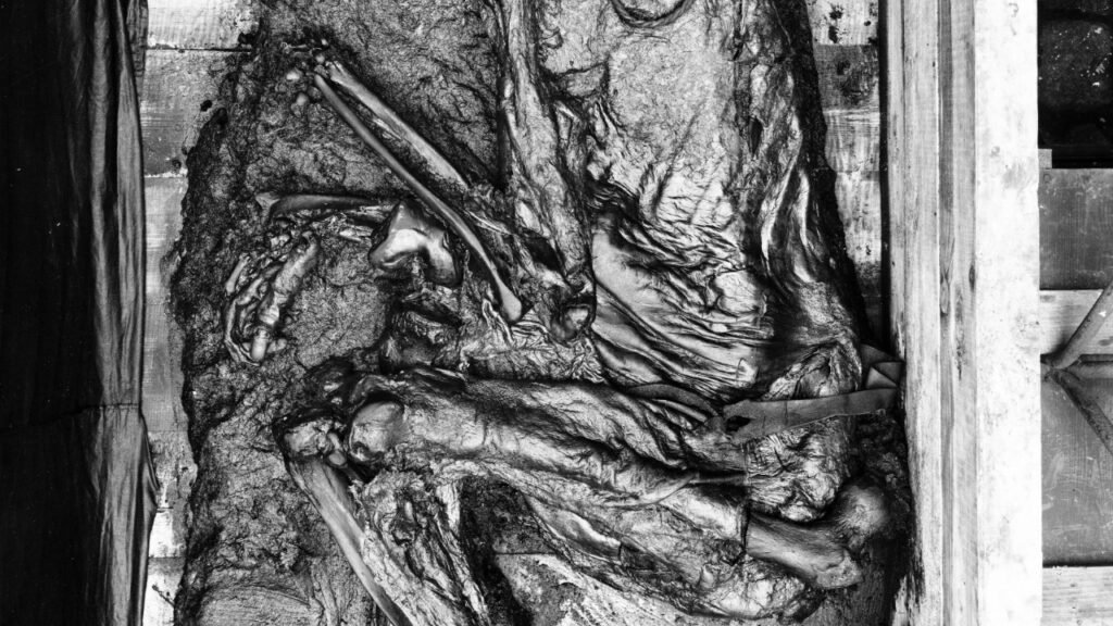 O rosto parecia adormecido, mas o corpo encontrado no pântano escondia uma morte que intriga arqueólogos há décadas