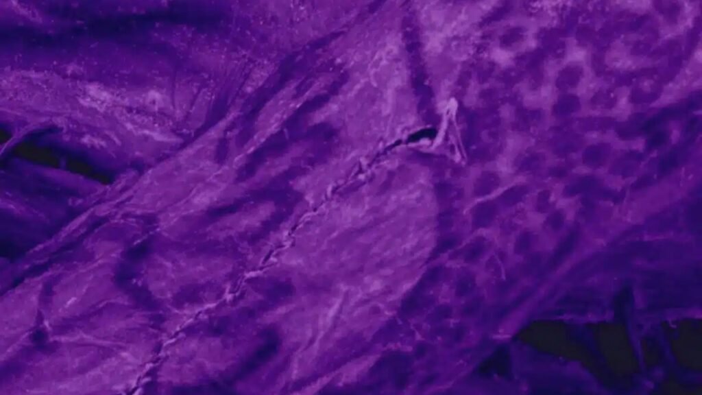 Cientistas encontraram uma mulher mumificada diferente das outras: ela possui o corpo todo coberto por tatuagens preservadas pelo frio extremo