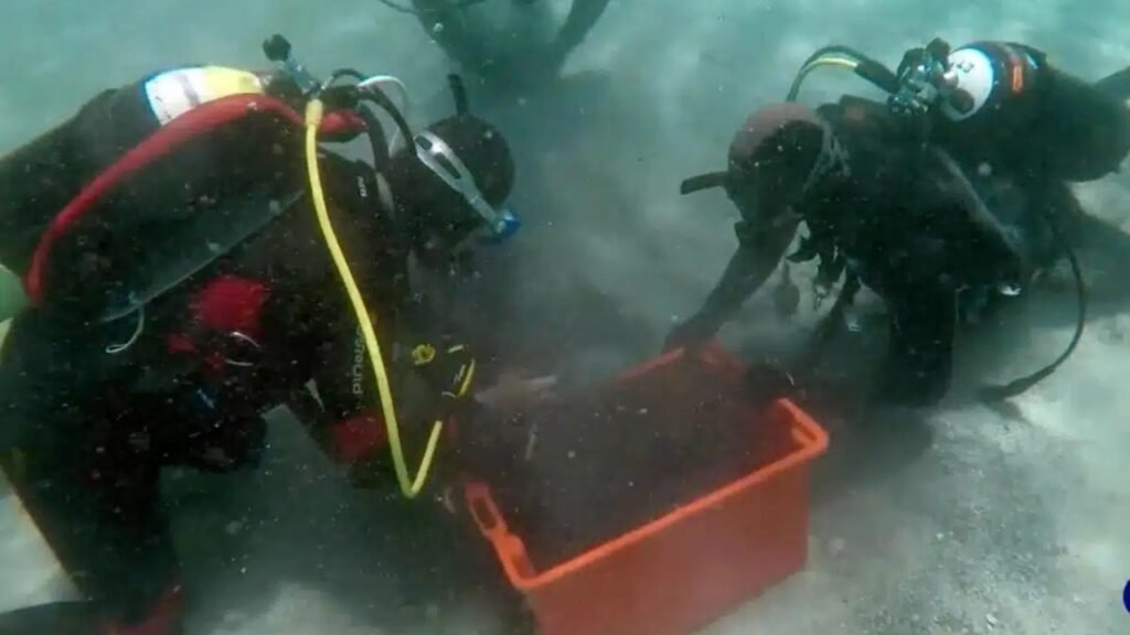 Mergulhadores descobrem o maior tesouro romano do mundo com 50.000 moedas de bronze escondido sob o Mediterrâneo