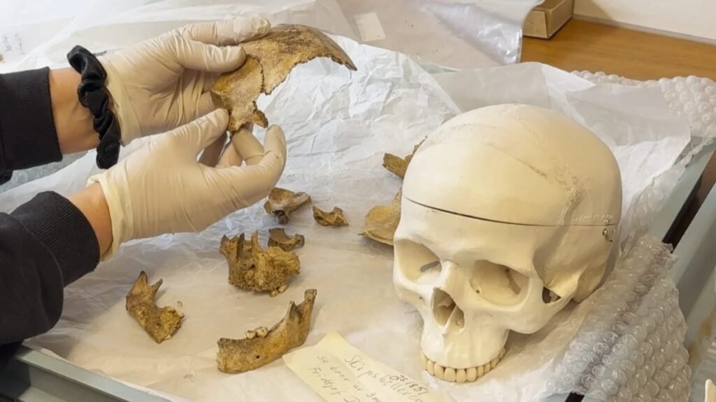 Arqueólogos voltaram a um abrigo escavado há quase 100 anos e encontraram a história de uma criança enterrada há 4 mil anos