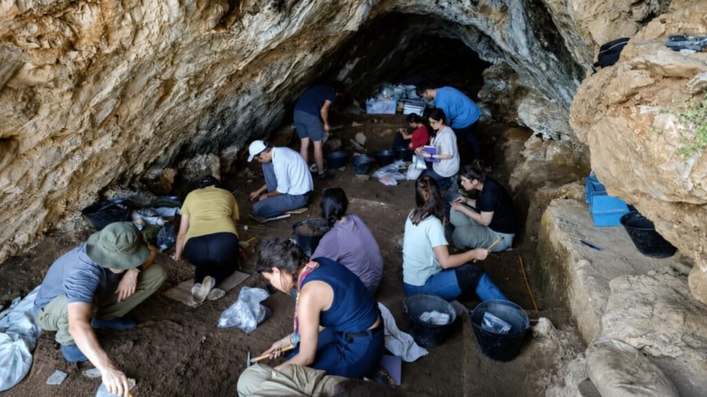 Ferramentas, animais e conchas de 77 mil anos desafiam a antiga ideia de que neandertais e homo sapiens viviam em mundos separados