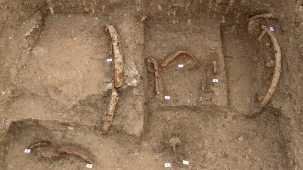 Arqueólogos encontraram o túmulo de um antigo príncipe guerreiro e o que estava ao redor pode mudar a história de um povo quase esquecido