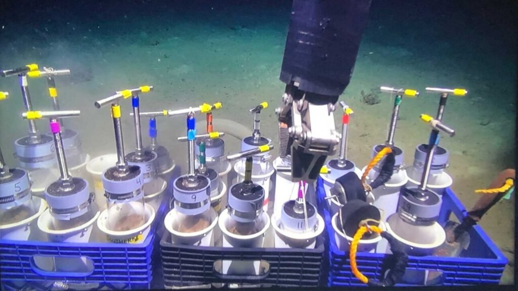 A quase 5 mil metros de profundidade, cientistas encontraram na lama do Atlântico um arquivo invisível da vida preservado por mais de 32 mil anos