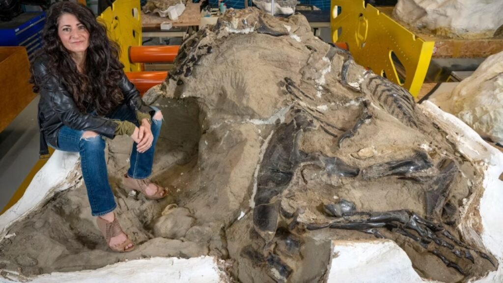 Paleontólogos podem admitir erros: nova descoberta coloca em dúvida 25 anos de pesquisa sobre o T. rex