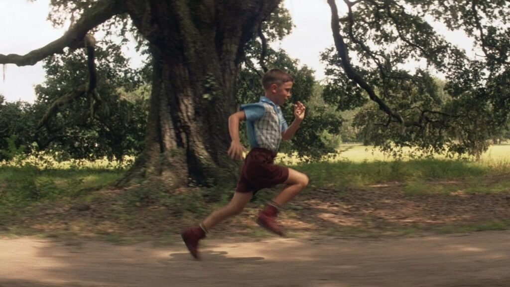 “A vida é como uma caixa de chocolates”: a frase de Forrest Gump esconde uma poderosa lição da filosofia estoica