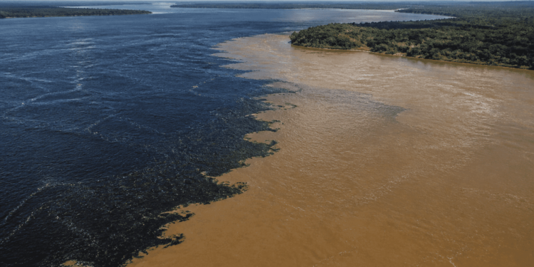 Vista aérea de dois rios correndo lado a lado, um de água escura e outro barrenta, formando uma faixa de encontro próxima a áreas de floresta.