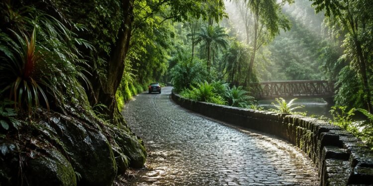 Estrada de paralelepípedos molhada atravessa a Mata Atlântica, com um carro ao fundo, muro de pedra e ponte de madeira entre a vegetação.