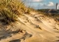 Dunas de areia com vegetação rasteira em primeiro plano e o Farol de Santa Marta desfocado ao fundo.
