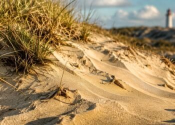 Dunas de areia com vegetação rasteira em primeiro plano e o Farol de Santa Marta desfocado ao fundo.