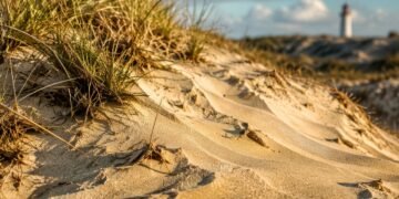 Dunas de areia com vegetação rasteira em primeiro plano e o Farol de Santa Marta desfocado ao fundo.