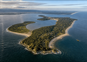 Vista aérea da Ilha do Mel, com mata densa, praias, enseadas, lagoas e o oceano ao redor.