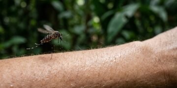 A limpeza ajuda em parte, porém não apaga os sinais usados pelo inseto.