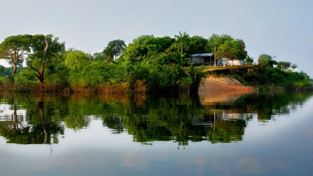 Barcelos - Antes de Manaus existir, a capital do Amazonas era esta cidade que hoje é a única do mundo com selo de origem para um bicho vivo