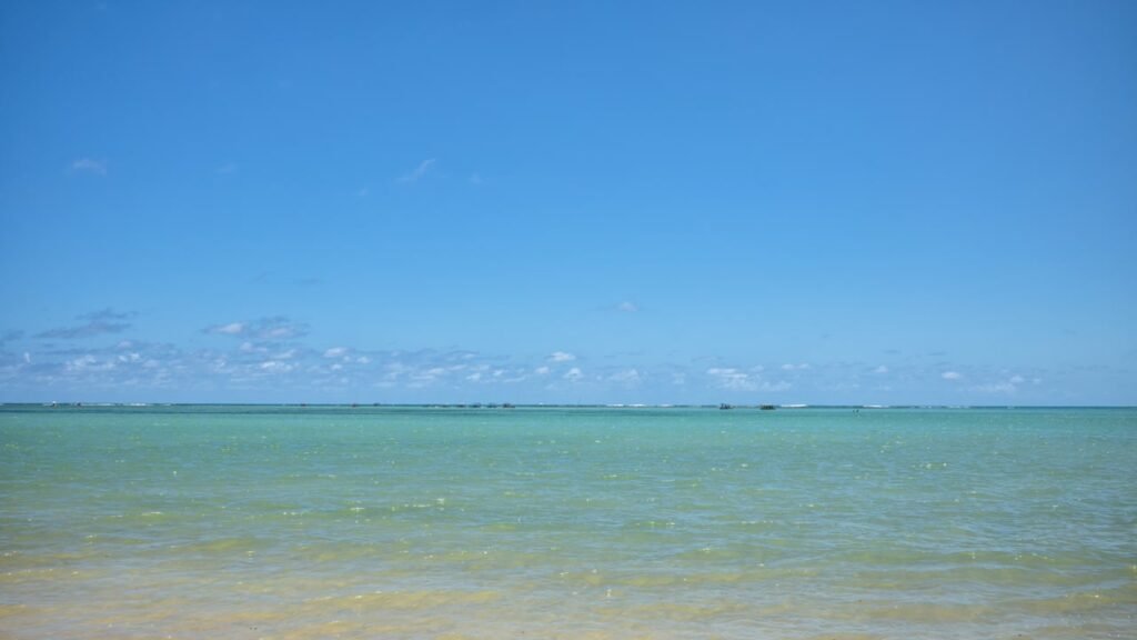 Um paraíso de mar raso e aguas azuis: o vilarejo alagoano onde o peixe-boi volta ao rio e o mineiro chega em meio dia