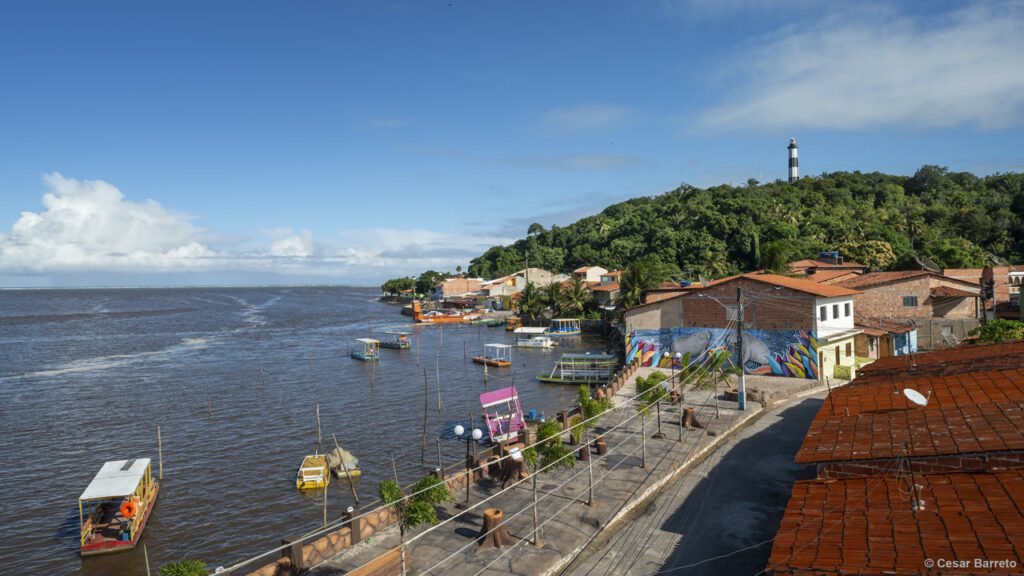 Um paraíso de mar raso e aguas azuis: o vilarejo alagoano onde o peixe-boi volta ao rio e o mineiro chega em meio dia