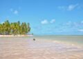 Um paraíso de mar raso e aguas azuis: o vilarejo alagoano onde o peixe-boi volta ao rio e o mineiro chega em meio dia