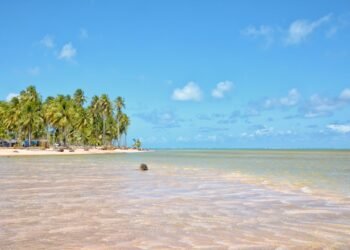 Um paraíso de mar raso e aguas azuis: o vilarejo alagoano onde o peixe-boi volta ao rio e o mineiro chega em meio dia