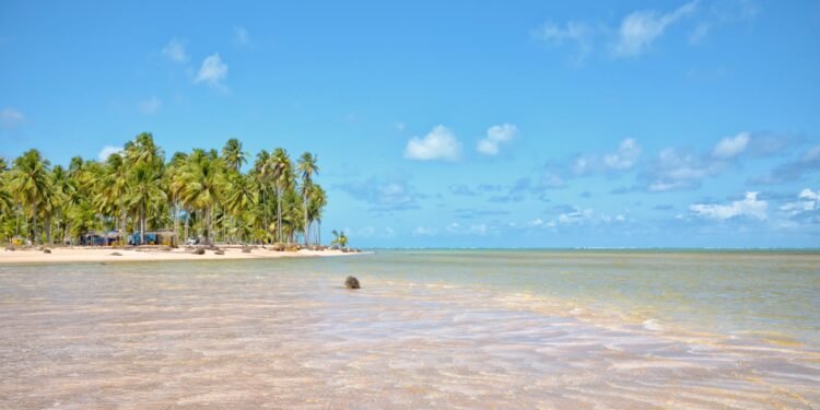 Um paraíso de mar raso e aguas azuis: o vilarejo alagoano onde o peixe-boi volta ao rio e o mineiro chega em meio dia